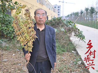 永城高产大豆培育人