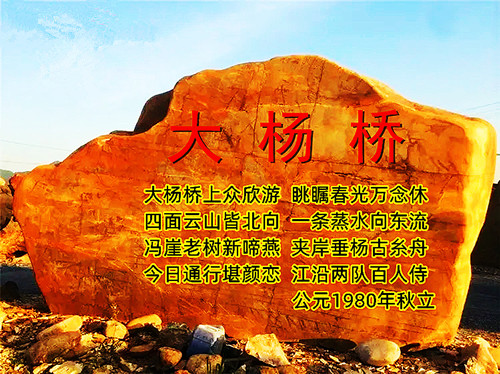 11111.webp_副本.jpg