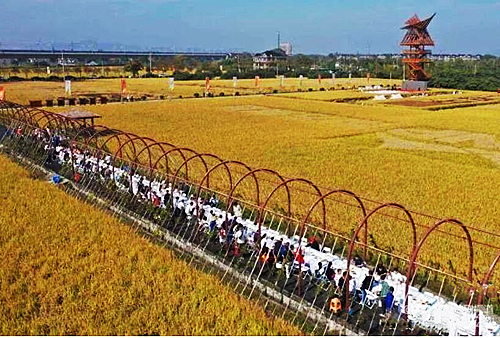 QQ截图20221115191001.jpg