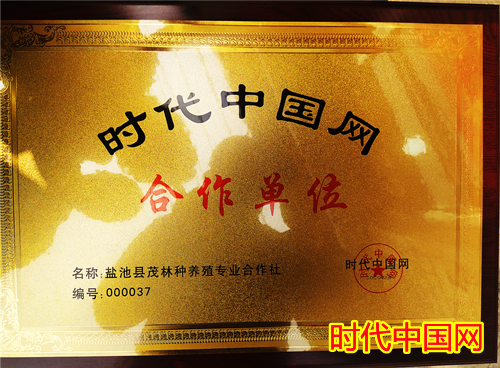 美微信图片_20210513172117_副本.jpg