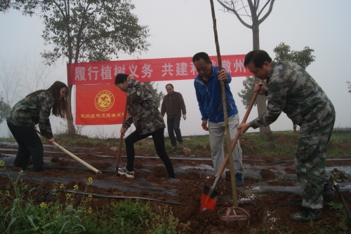 微信图片_20230310105540.jpg