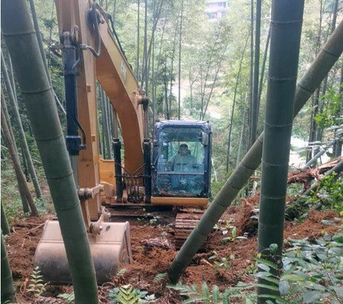 QQ截图20230531105424.jpg