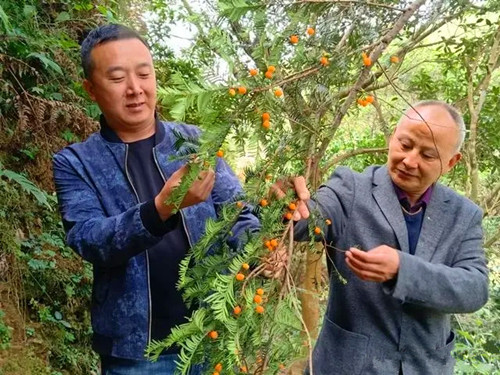 乡土专家郑惟孝——自充电到德兴