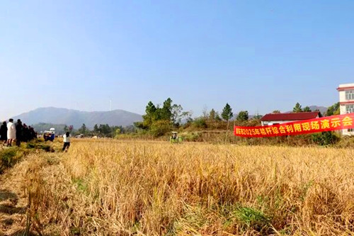 1763296116211206.jpg 图片3_副本.jpg