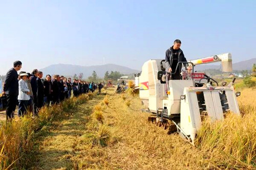 1763296161146657.jpg 图片5_副本.jpg