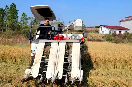 1763296511326499.jpg 图片9_副本.jpg