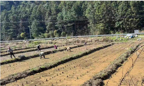 1766566528160206.jpg QQ20251224-165009_副本.jpg